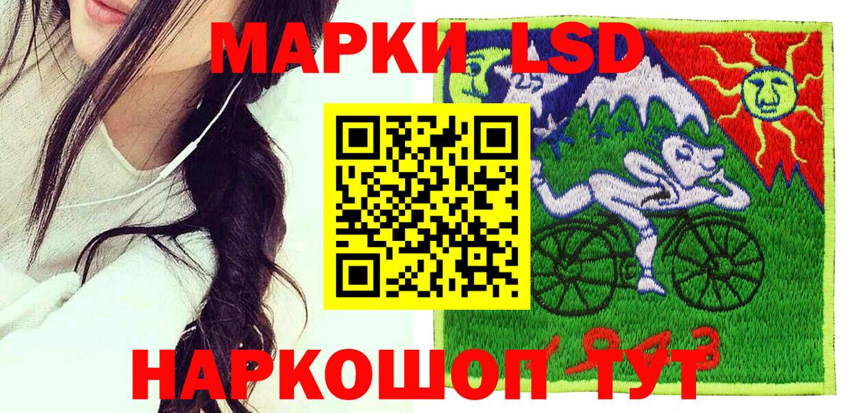 Альфа ПВП Камышин