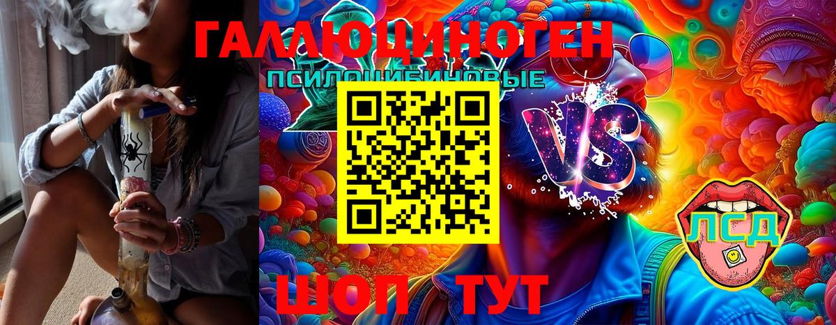 Камышин  Псилоцибиновые грибы ЛСД  Вход с VPN 